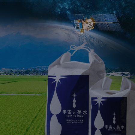 宇宙から米作りに最適な土地を探し栽培した米「宇宙ビッグデータ米」。4年連続、1等米評価を獲得！
